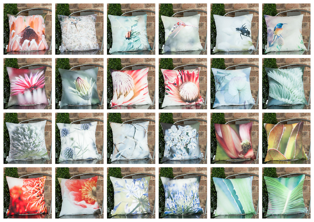 Botanical Cushions
